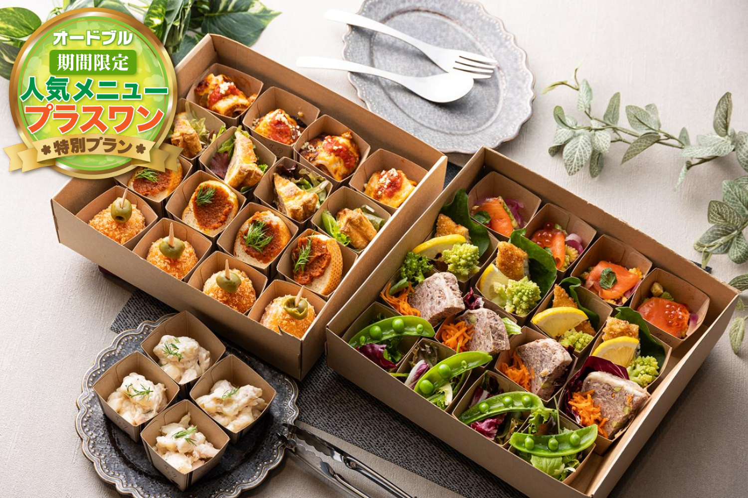 【春の期間限定プラスワン】【全10品・お届けのみ】Basic Plan (ベーシック)デリバリープラン画像0