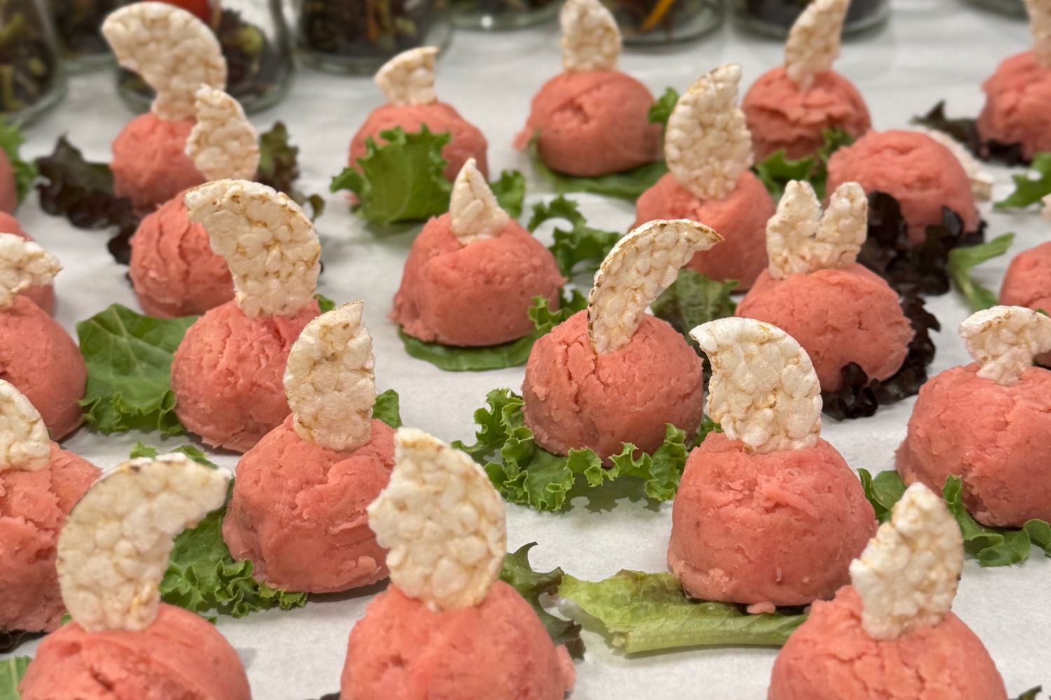 季節のもったいないケータリング ベジタリアンコース（ヴィーガン対応可）-フリードリンク（アルコール）付き-画像5