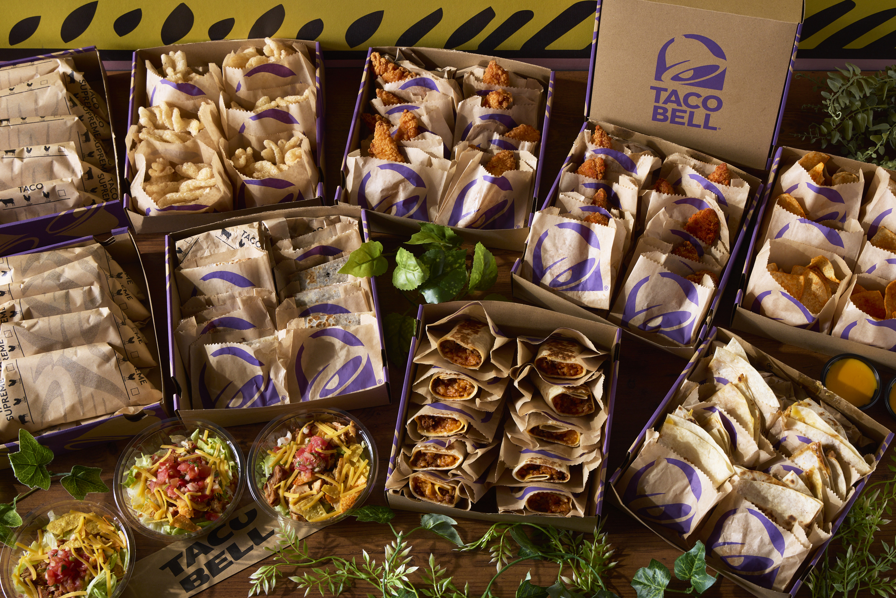 全体のイメージ写真