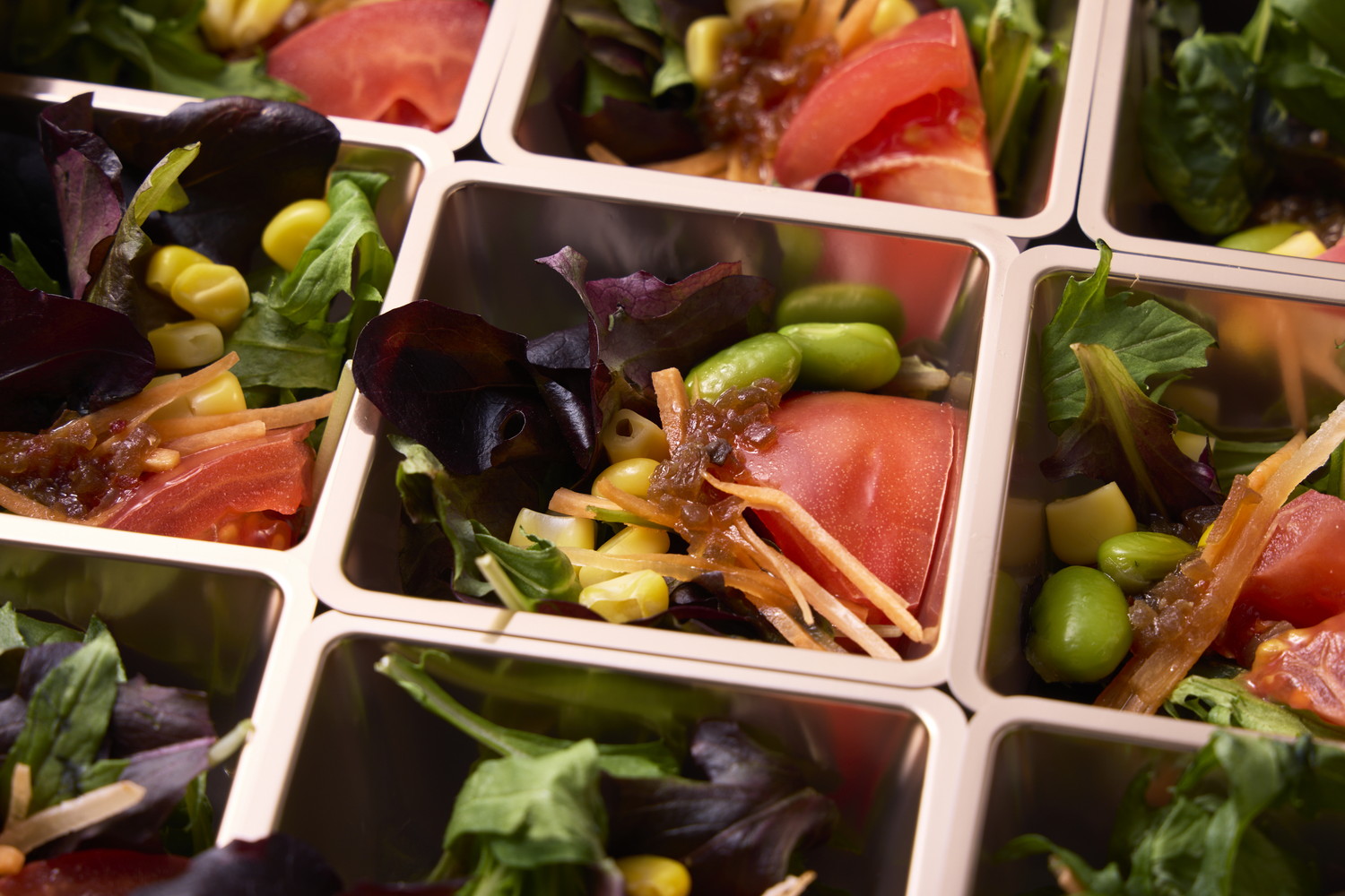 こだわり玉ねぎジュレの彩りサラダ