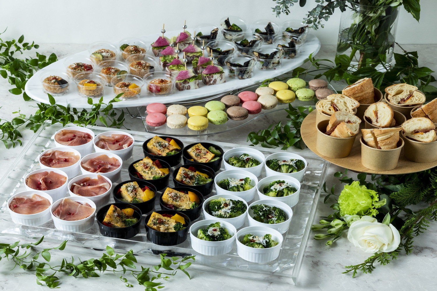 プランイメージ