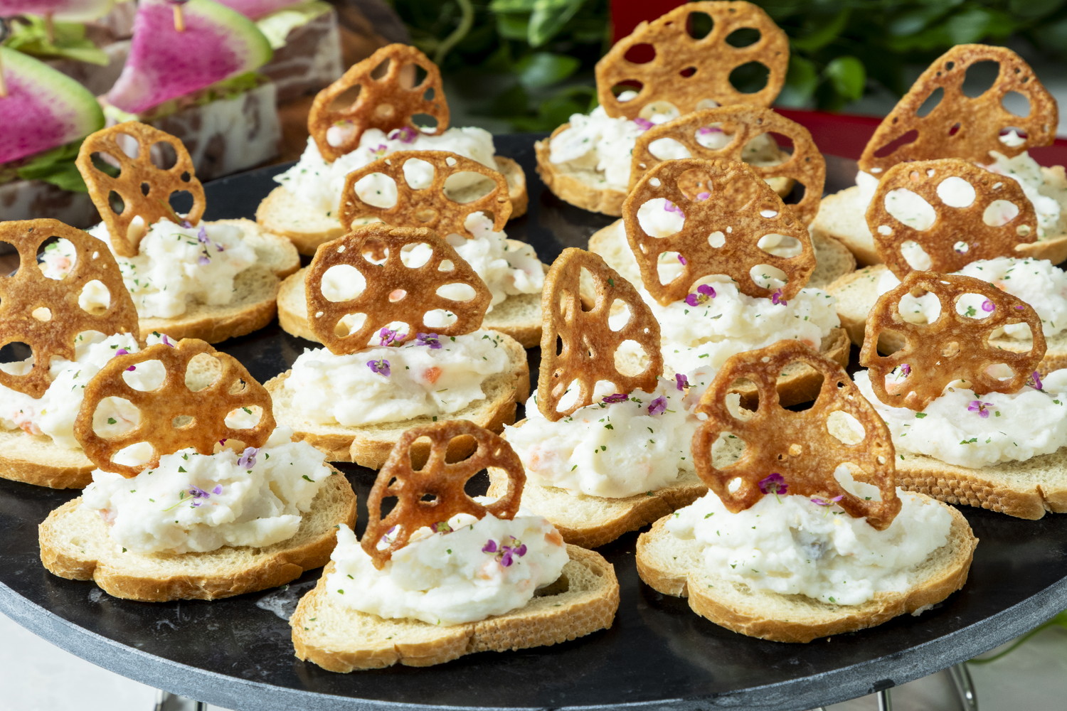 プレミアムプラン画像11