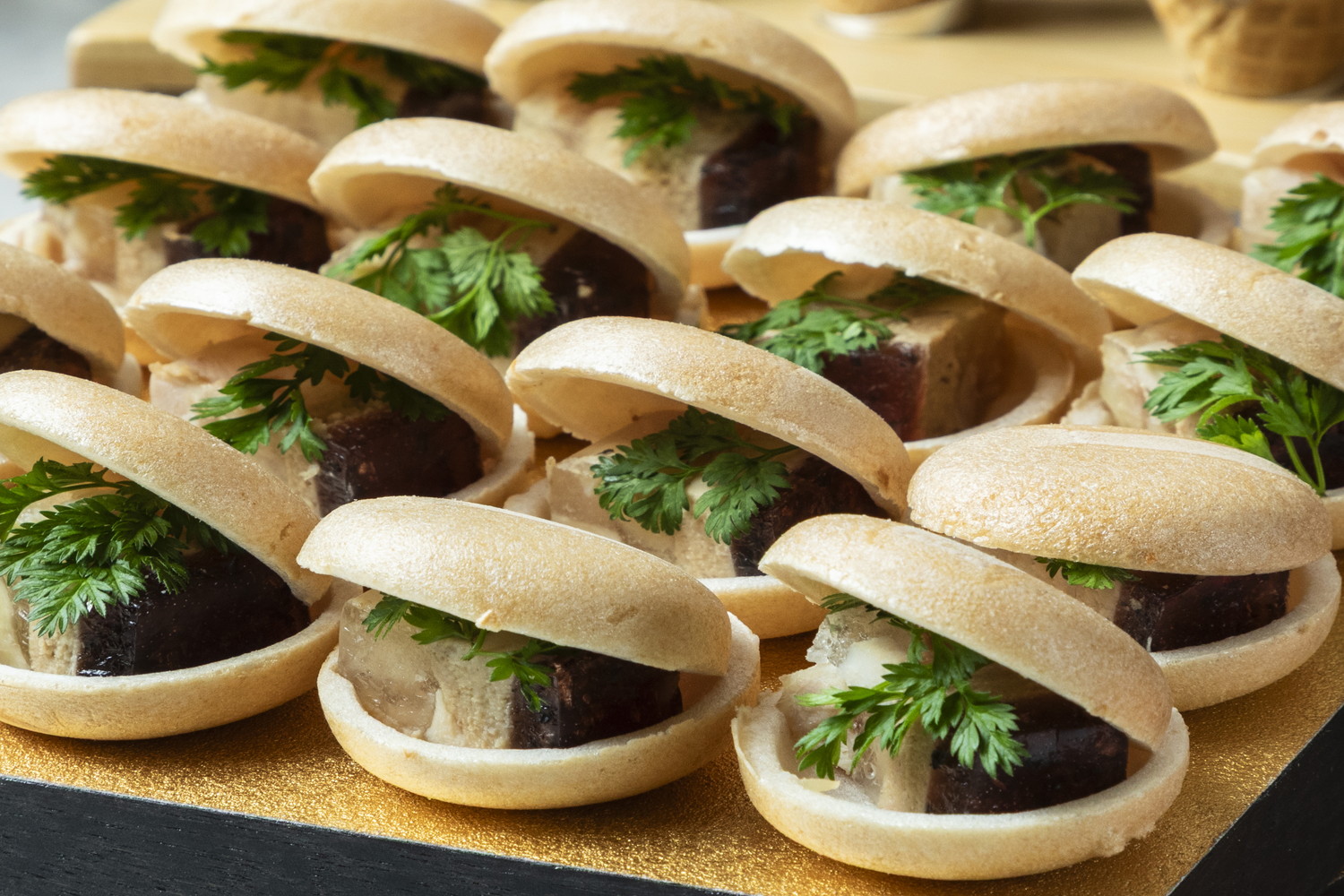 ラグジュアリープラン画像14