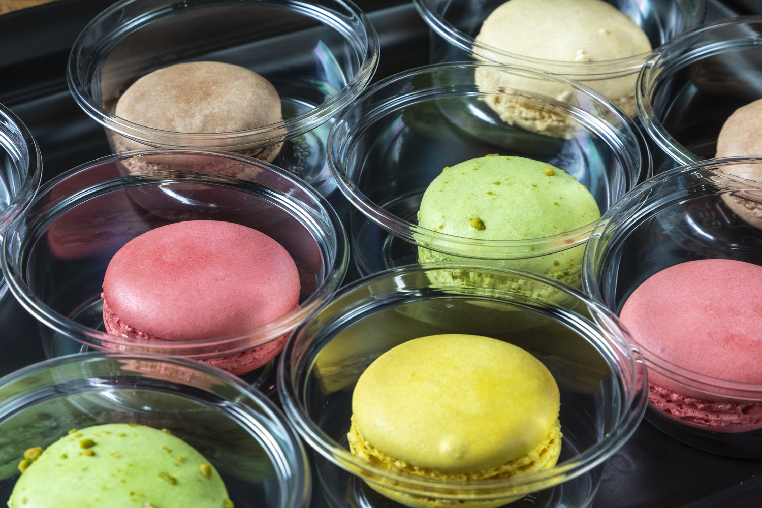 ラグジュアリープラン画像16