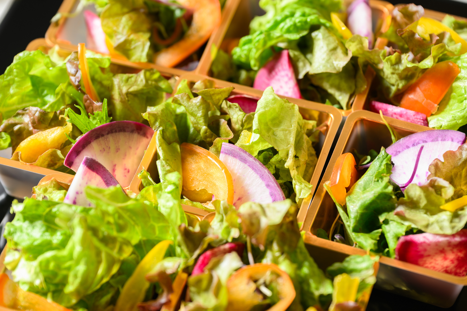 採れたてハーブサラダ