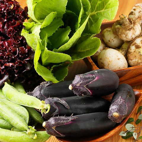 地元の新鮮食材を使用したお料理