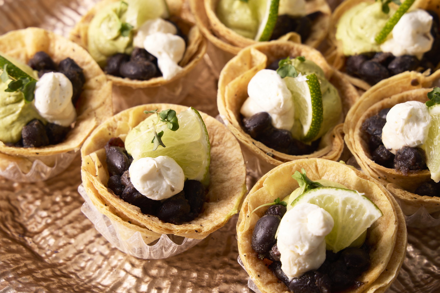 現代的な技術で季節の素材を活かした、植物由来の独創的なメニュー。