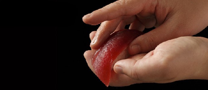 長年の研鑽を積んだ「職人の技」による江戸前寿司